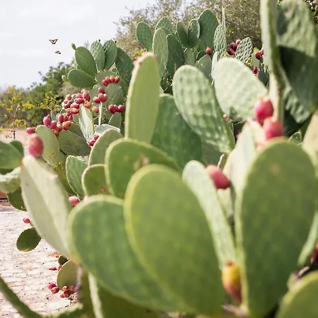 Villa Masseria Le Cerase *